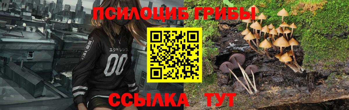 Псилоцибиновые грибы Magic Shrooms Ленинск-Кузнецкий