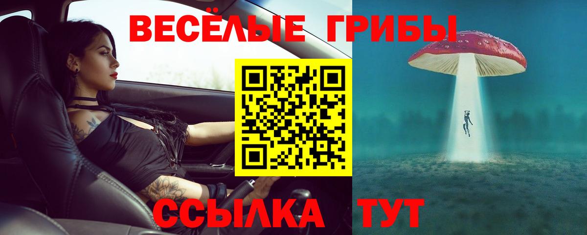 Ленинск-Кузнецкий  где можно купить наркотик  Вход с VPN  Галлюциногенные грибы мухоморы 